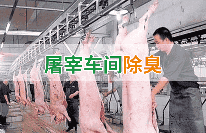 屠宰場臭氣影響周邊環(huán)境？解決辦法在這里-1