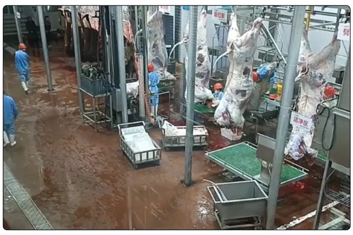 屠宰工廠惡臭影響周邊，使用除臭劑有什么注意要點(diǎn)？