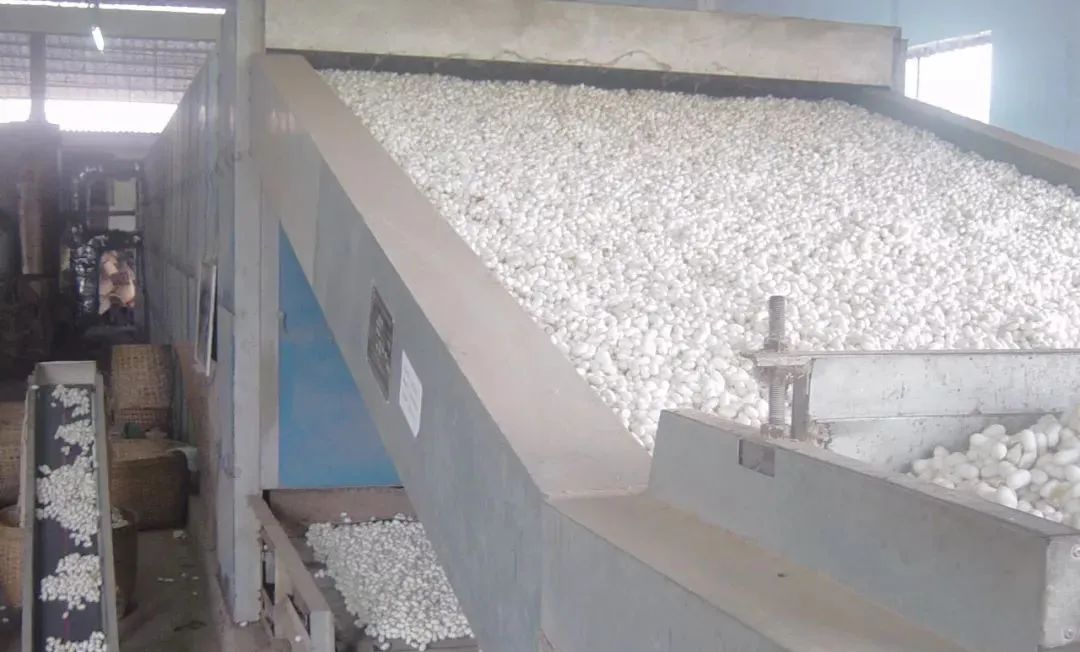 潔匠凈化·的凈工業(yè)除臭劑_繅絲廠“蠶繭烘干惡臭味”，Dejing的凈?除臭創(chuàng)造清新廠房！