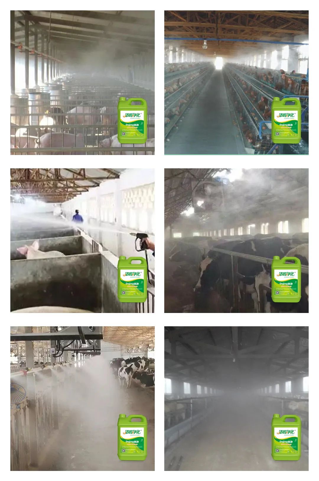 養(yǎng)殖場太臭，用Dejing的凈除臭劑迅速除臭！豬圈/雞場/牛場/羊圈....jpg