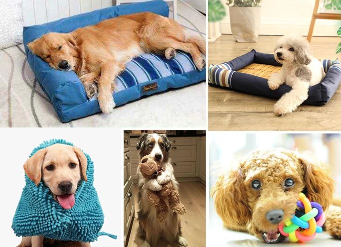 潔匠凈化·的凈工業(yè)除臭劑_寵物氣味彌漫整個(gè)屋子，潔匠凈化教您如何除味