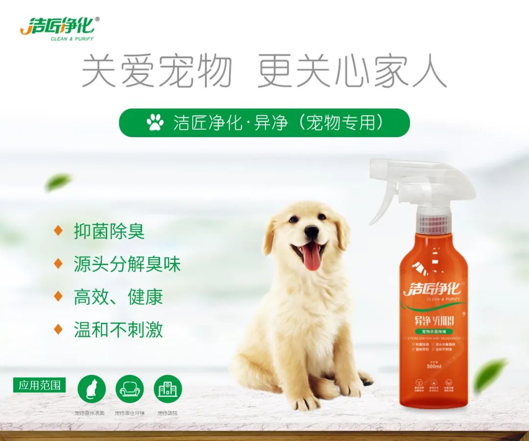 寵物氣味彌漫整個屋子，潔匠凈化教您如何除味